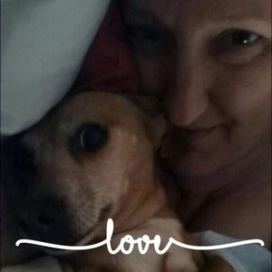 Meet your Posher, Dale